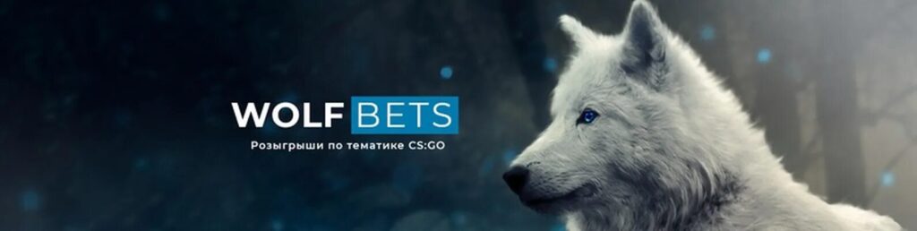 Wolf.bet Casino Review - In-Depth Analysis of a Unique Crypto Casino
